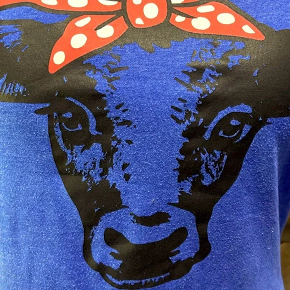 Blue Highland Heifer Short Sleeve Tee Sz M - Picture 2 of 14